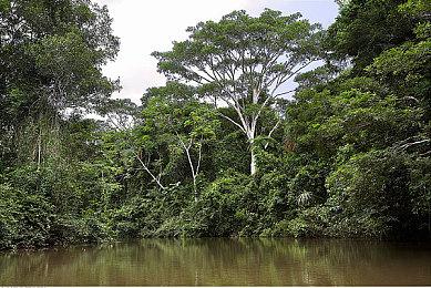 《沙漠大冒险》自定义战斗机甲预告 4月26日发售